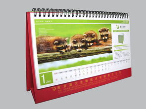 南京珠江路平面設(shè)計(jì)與廣告服務(wù)公司 專(zhuān)業(yè)的代理代辦解決方案